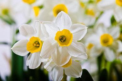 有新合作？《刺客信条》艾吉奥配音演员现身育碧大楼外